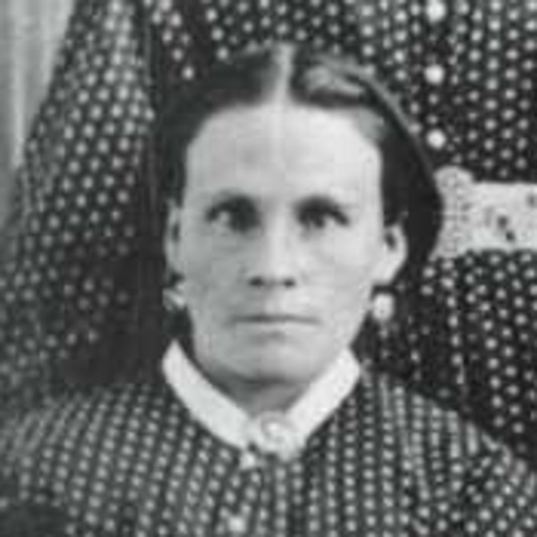 Harriet Lovina Bowen (1844 - 1942) Profile